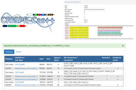 CRISPR-CAS++, un service Web pour faciliter la d&eacute;tection et l&rsquo;analyse des syst&egrave;mes CRISPR-CAS chez les microorganismes | Life Sciences Universit&eacute; Paris-Saclay | Scoop.it