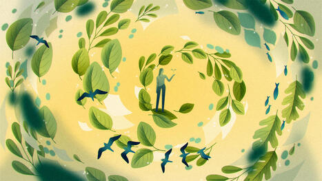 It’s Time to Unbundle ESG | Ethical Leadership and Governance | Scoop.it