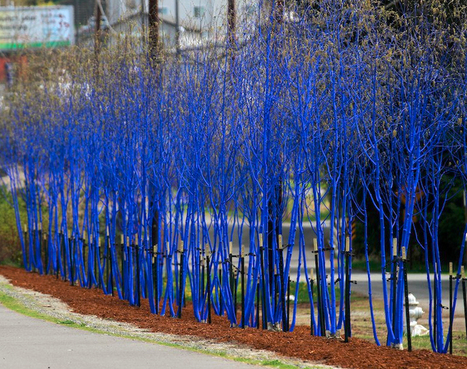 Konstantin Dimopoulos: Blue Trees | Art Installations, Sculpture, Contemporary Art | Scoop.it