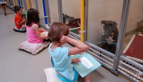 Something Truly Beautiful Is Happening At This Animal Shelter | Visual*~*Revolution | Scoop.it