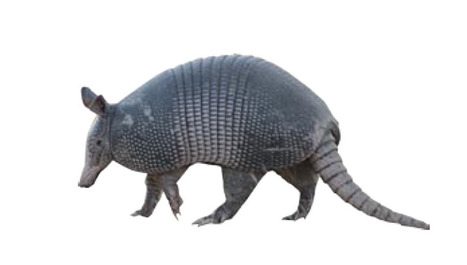 Solar Decathlon 2014: la compétition internationale d’architecture et d’ingénierie | LeMoniteur.fr | Eco-conception | Scoop.it