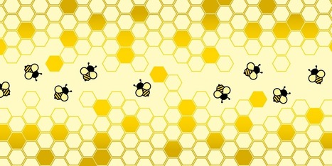 Severe drought threatens honey bees in Chile | Stage 5 Sustainable Biomes | Scoop.it