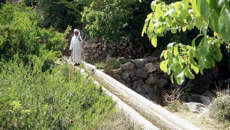 Oman, les roses du désert - 360°-Géo | ARTE | Les déserts dans le monde | Scoop.it