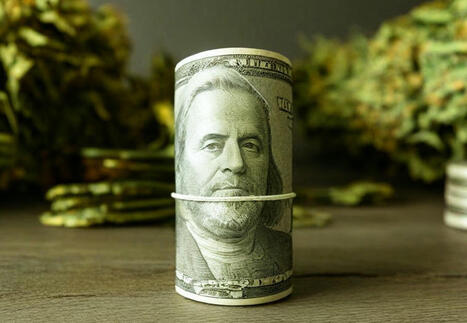 The DEA's Hypocrisy Exposed: Crushing Legal Innovation While Drug Cartels Flourish | Cannabis.Net | Scoop.it