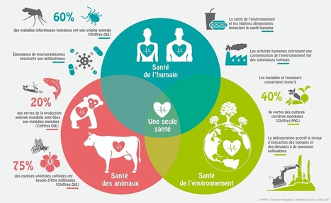 One Health, une seule santé | Actualités de l'élevage | Scoop.it