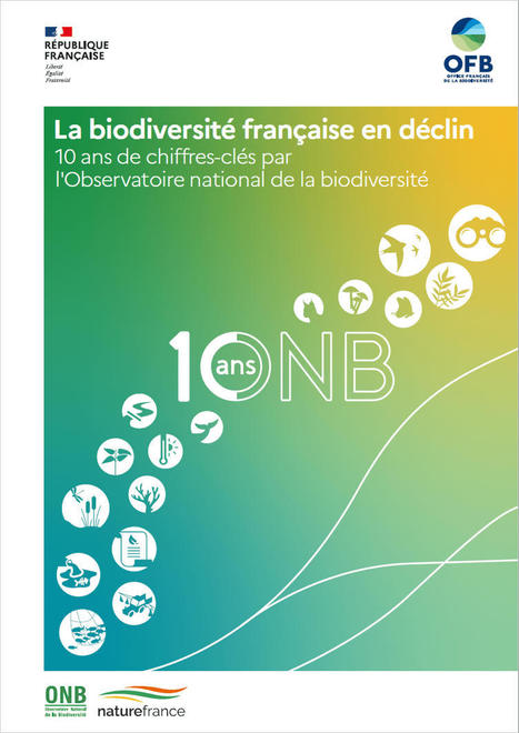 2013-2023 : 10 ans de déclin de la biodiversité en chiffres - Observatoire national de la biodiversité | Biodiversité | Scoop.it
