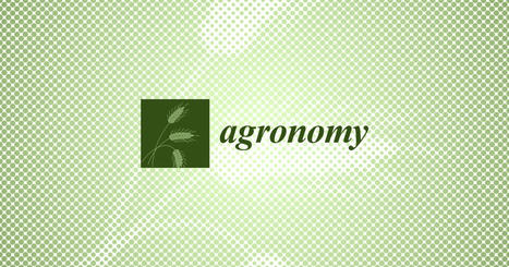 Introduction to Special Issue: The System of Rice Intensification (SRI) -- Contributions to Agricultural Sustainability | --- SRI Global News: March - May 2025 --- *SRI-Rice -- System of Rice Intensification | Scoop.it