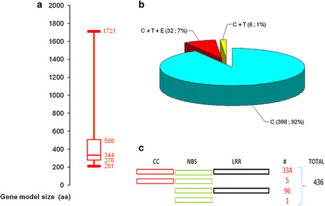 Molecular Genetics and Genomics: Full-genome identification and characterization of NBS-encoding disease resistance genes in wheat (2014) | Plant Pathogenomics | Scoop.it