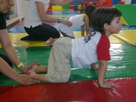¿Quién vigila a los que nos forman? Pseudociencia en el Ministerio de Educación | Orientación Educativa al Día | Scoop.it