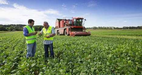 De l'art d'intégrer le durable à la chaîne de valeur | ITERG Environnement et Eco-industries | Scoop.it