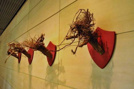 Wela: "Trophies" | Art Installations, Sculpture, Contemporary Art | Scoop.it