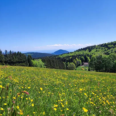Fondation de France | Pour des territoires de montagne en transitions | 2 - Appel &agrave; projets - &agrave; contributions | Scoop.it