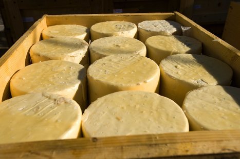 L’USDA envisage d'acheter 20 millions $ de fromage pour stimuler les prix des produits laitiers | Lait de Normandie... et d'ailleurs | Scoop.it