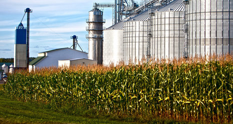 Food and Agriculture Sector after Trump Election: What to Watch | L'ECHO DEMETER | Scoop.it