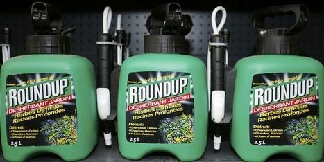 « L’histoire qui se trame autour de Monsanto a tous les ingrédients d’un scénario à la Erin Brockovich » | GREENEYES | Scoop.it