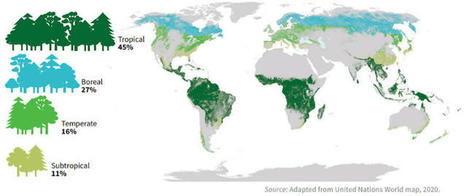La publication fin mars 2021 du bilan des déforestations pour l’année 2020 par le World Resources Institute est à nouveau alarmante | EntomoNews | Scoop.it