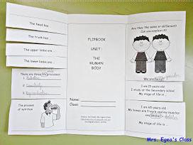 Science is fun!: The human body. #CLIL #AICLE | CLIL Didactic Units | Scoop.it