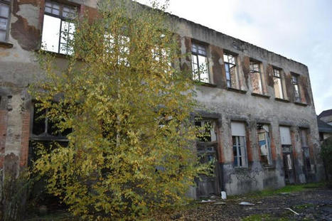 Petites villes de demain : quels sont les projets d'Ussel, Bort-les-Orgues, Neuvic (Corrèze) et La Courtine (Creuse) ? - Ussel (19200) | Petites villes de demain | Veille presse | Scoop.it