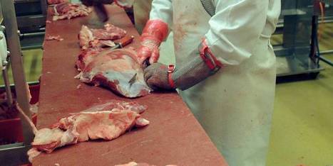 Belgique. L'Afsca a conclu à une erreur humaine concernant l'abattoir flamand qui a aussi envoyé de la viande périmée au Kosovo - La Libre | La Gazette des abattoirs | Scoop.it