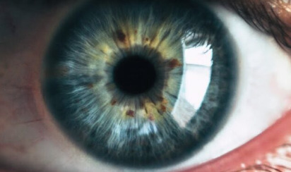 Is Consciousness an Illusion? | digisapiens v.1.0 | Scoop.it