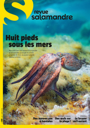 Salamandre N° 288 - Juin - Juillet 2025 | Biodiversité | Scoop.it