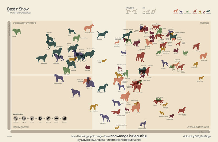 How Dog Breed Popularity Stacks Up Against Each Breed’s Costs and Benefits, in One Chart | Nerdy Needs | Scoop.it