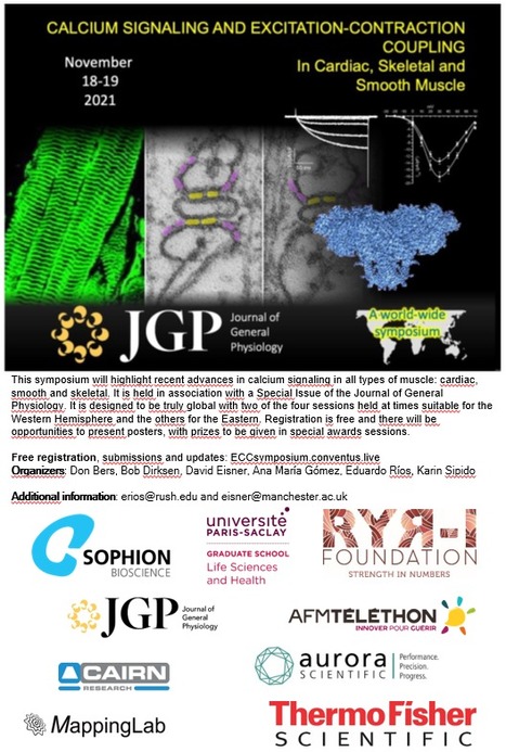 ECC Symposium - 18-19 novembre 2021 | Life Sciences Université Paris-Saclay | Scoop.it