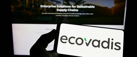 Celebrating Sustainability Excellence: Axil Achieves Silver Standard Rating with EcoVadis | EcoVadis Customer Success Stories | Scoop.it