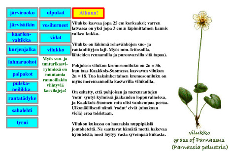 Vesikasvit | 1Uutiset - Lukemisen tähden | Scoop.it