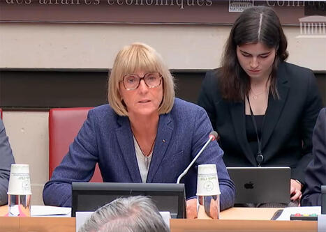 Crise du logement : une proposition de loi pour mobiliser davantage l&rsquo;habitat existant | L'actualit&eacute; de la politique de la ville | Scoop.it