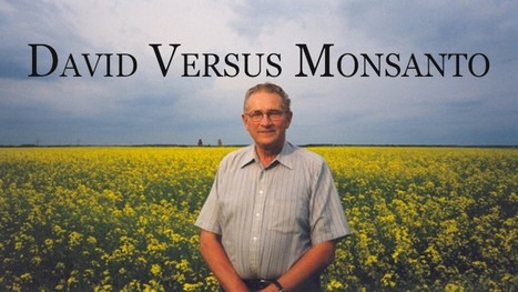 "Nobody has a right to put patents on nature and life!" -Farmer Who Took on Monsanto | Peer2Politics | Scoop.it