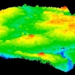 Canopy Constructor &ndash; la 3D appliqu&eacute;e &agrave; l&rsquo;&eacute;tude des for&ecirc;ts tropicales | INEE | T&eacute;l&eacute;d&eacute;tection veille IST INRAE & AgroParisTech | Scoop.it