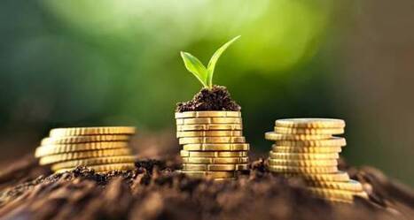 Initiative France : un pr&ecirc;t r&eacute;serv&eacute; aux entreprises remarquables | Revue de presse &eacute;conomique du Sud Touraine | Scoop.it