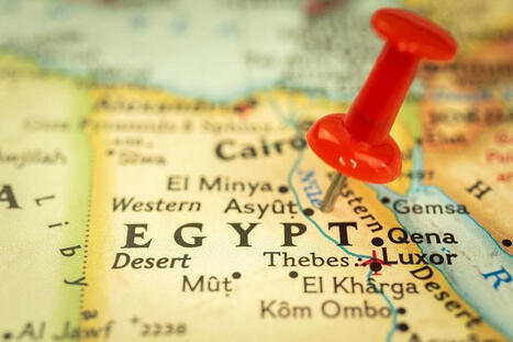 EGYPT’s wheat production, imports to rise | World Grain | MED-Amin network | Scoop.it