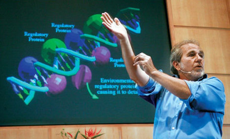 Beliefs and thoughts alter cells in your body: Dr. Bruce Lipton | E-Learning-Inclusivo (Mashup) | Scoop.it