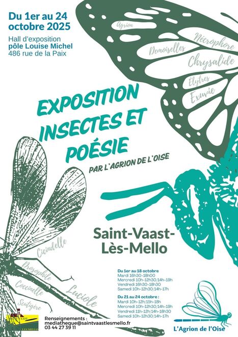 Les Insectes et la poésie à Saint-Vaast-les-Mello | Variétés entomologiques | Scoop.it
