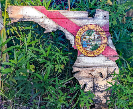 Florida Grown: Tips + Tricks for Navigating Florida Gardening  | Best Backyard Patio Garden Scoops | Scoop.it