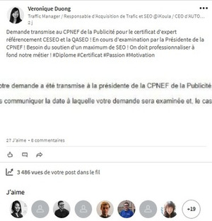 Professionnaliser le SEO et donner de la valeur à notre métier, une contribution pour la société française | Search engine optimization : SEO | Scoop.it