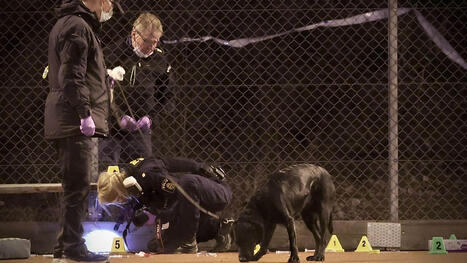 En man har blivit skjuten i V&aring;rby g&aring;rd strax s&ouml;der om Stockholm | 1Uutiset - Lukemisen t&auml;hden | Scoop.it