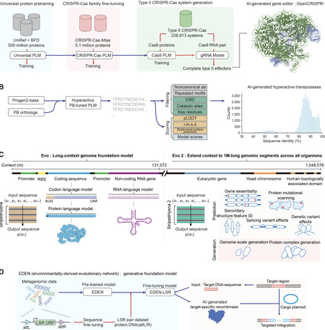 Beyond prediction: The evolving role of artificial intelligence in genome editing | mcell | RMH | Scoop.it