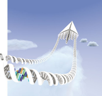 DNA most flexible nanostructure | Amazing Science | Scoop.it