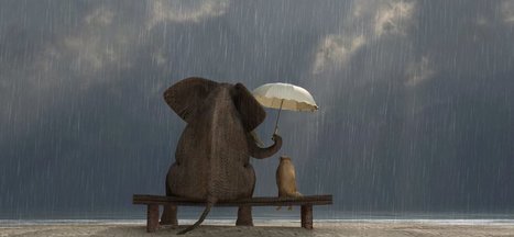 Research Says Kindness Can Make You a Better Leader. Here Are 3 Reasons Why | Chief People Officers | Scoop.it