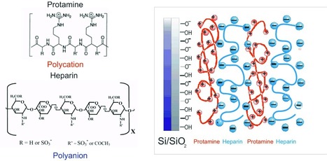 Title Monitoring Protamine‐Heparin Interactions Using Microcapillary Impedimetric Sensor | In-Vitro Diagnostic | Scoop.it