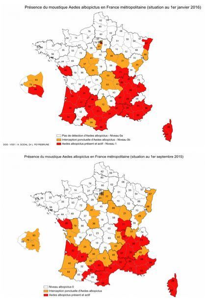 Moustiques vecteurs de maladies - Espèces nuisibles et parasites - Ministère des Affaires sociales et de la Santé | Insect Archive | Scoop.it