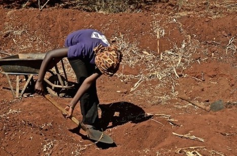 Measuring How Climate Change Affects Africa’s Food Security | Questions de développement ... | Scoop.it