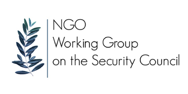 Officers and Steering Group Members | NGO Working Group on the Security Council | Conflict, Security, UNSC, Defence, UN Reforms | Scoop.it