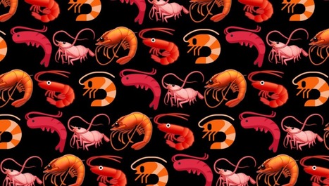 À cause des humains, les crevettes sont sous Prozac | Biodiversité | Scoop.it