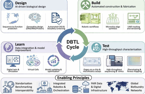 The convergence of AI-driven engineering biology and emerging technologies advancing globally networked autonomous biofoundries | cin | RMH | Scoop.it