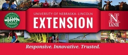 Networked Knowing | Peer2Politics | Scoop.it