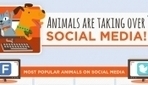 Animals Are Taking Over Social Media! - DesignTAXI.com | World's Best Infographics | Scoop.it